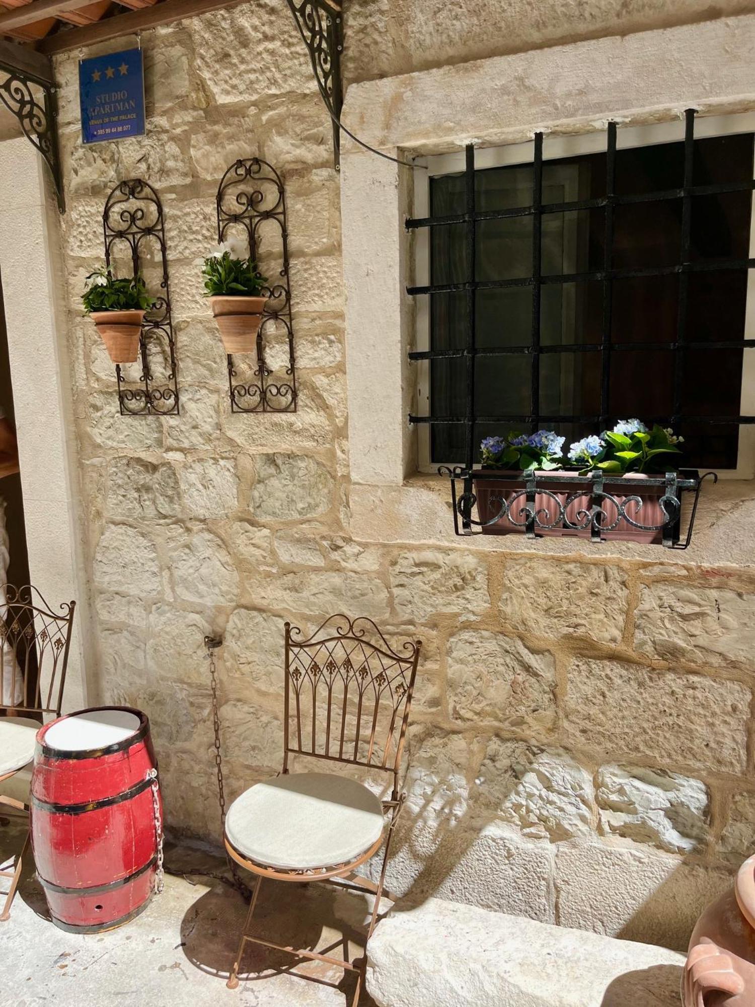 Apartman Venus Of The